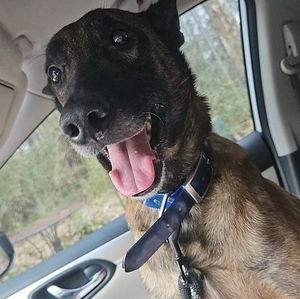 Meet your Posher, April